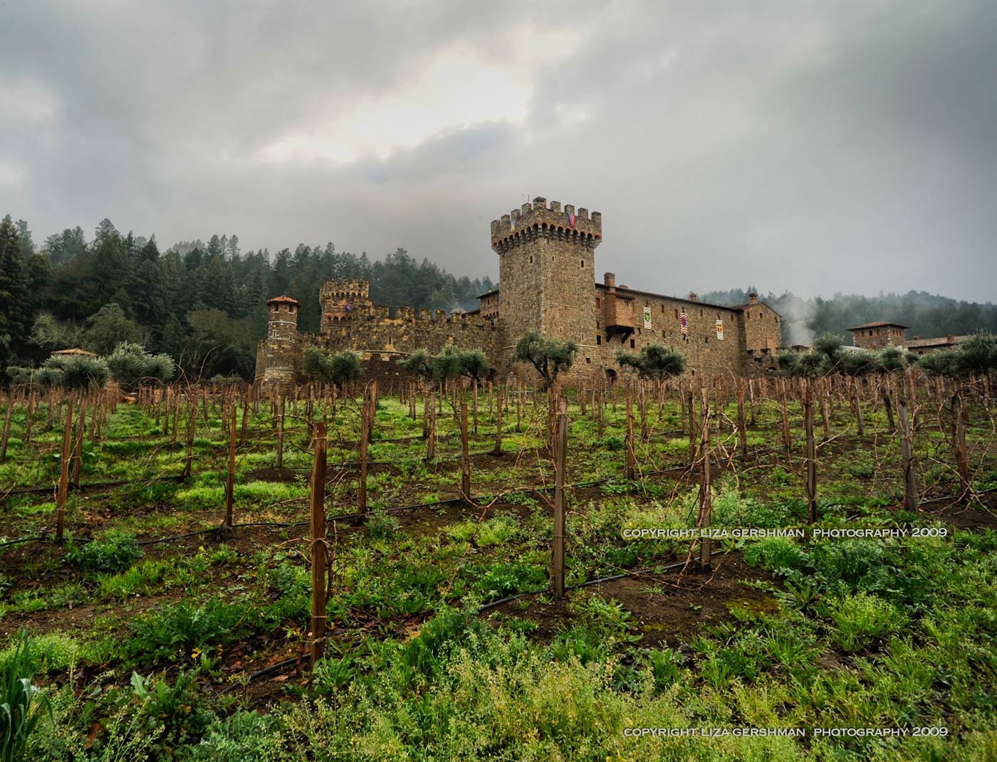 Castello Di Amorosa | WineMaps