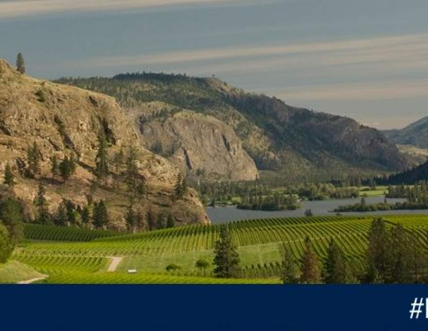 Blue Mountain Vineyard And Cellars | WineMaps