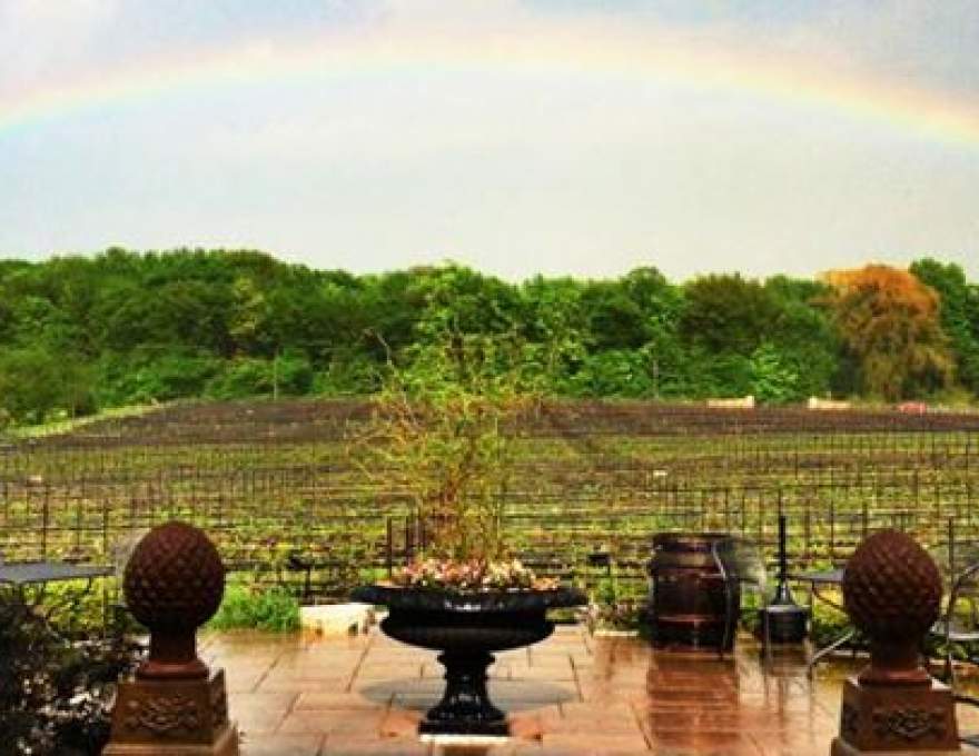 Rosewood Estates Winery and Meadery WineMaps