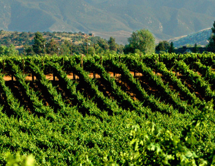 Agua Dulce Winery WineMaps