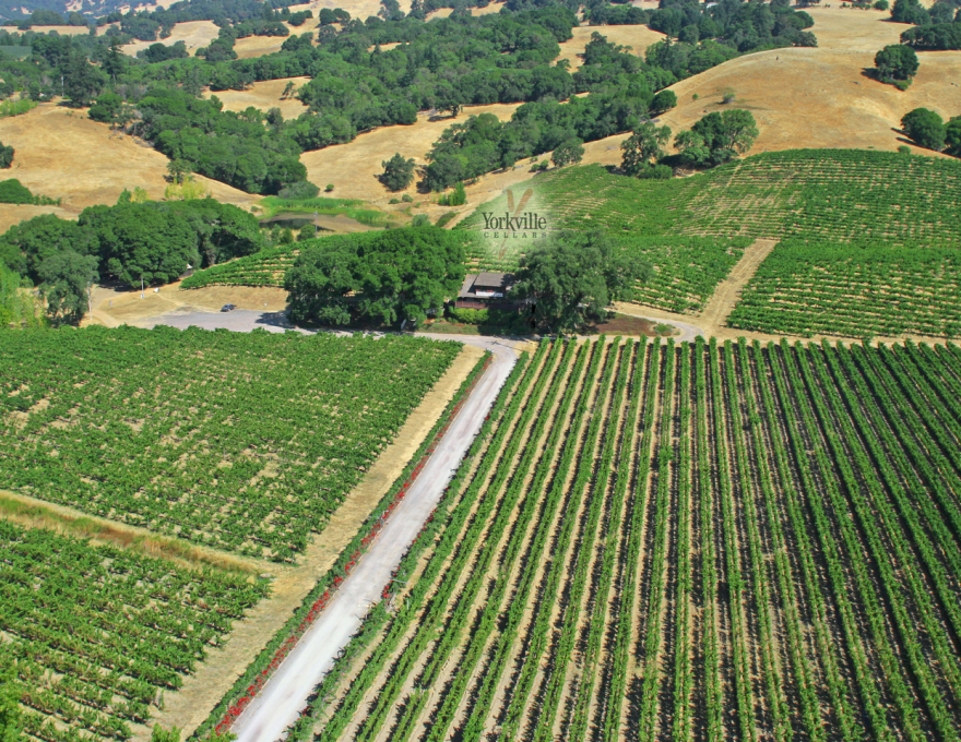 Yorkville Cellars WineMaps