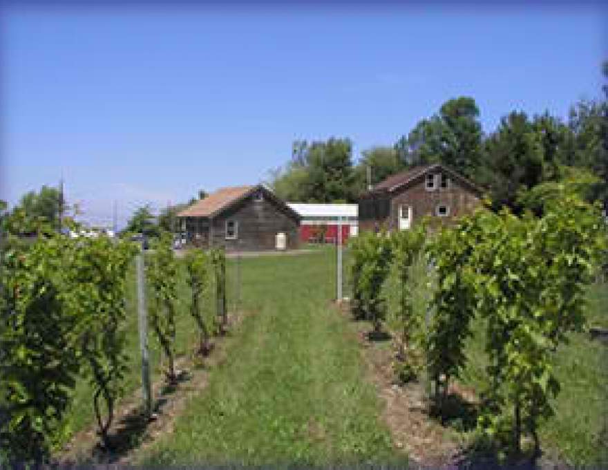 Thorpe Vineyard WineMaps