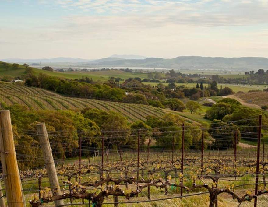 Tin Barn Vineyards WineMaps