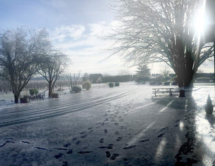 The Potter's Vineyard & Clay Art Gallery WineMaps