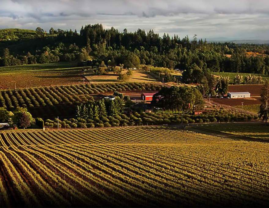 Willamette Valley Vineyards WineMaps