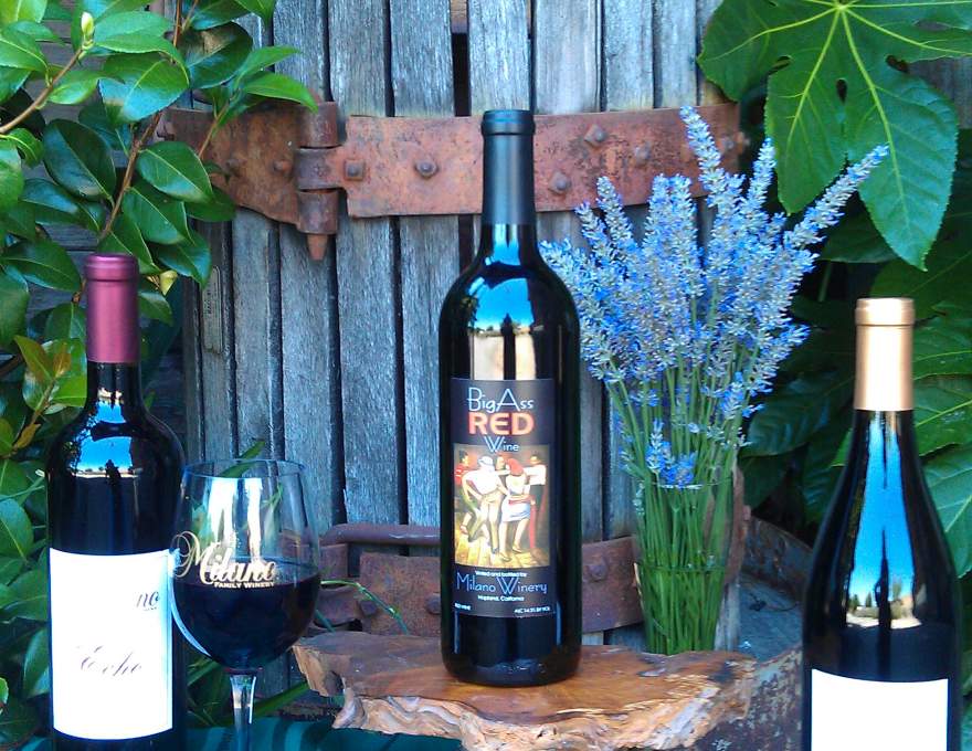 Milano Family Winery WineMaps