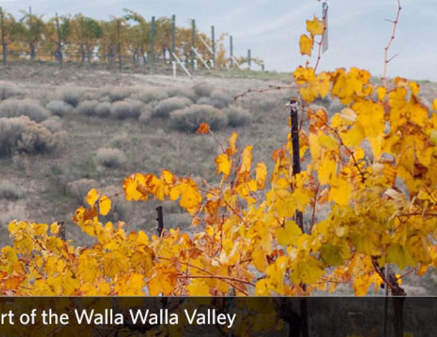 Woodward Canyon Winery WineMaps