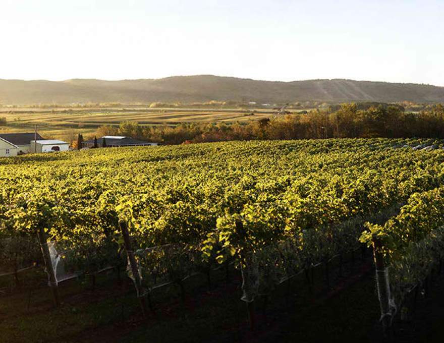 Sainte Famille Wines WineMaps