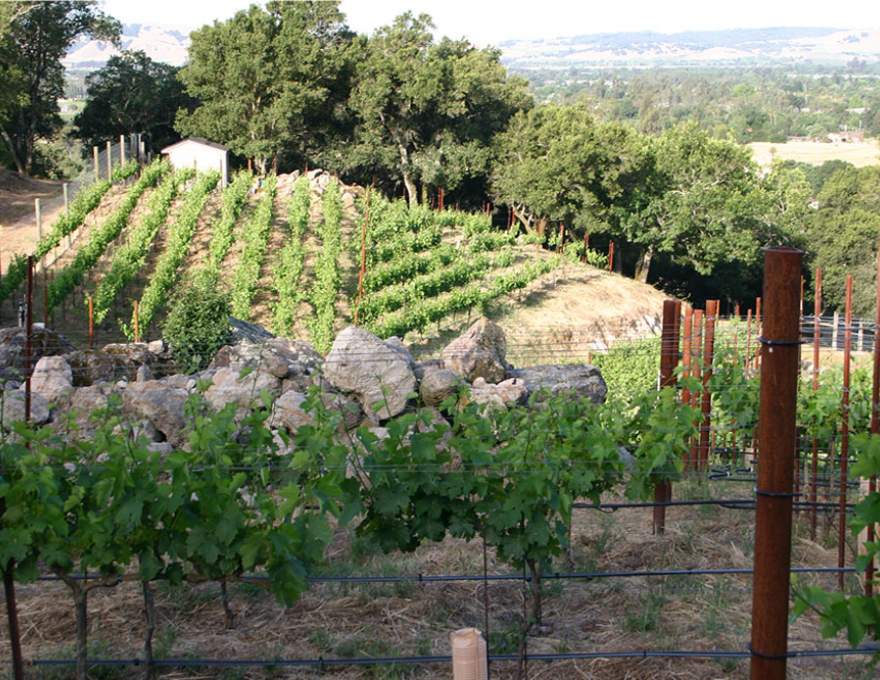 Jeff Cohn Cellars WineMaps