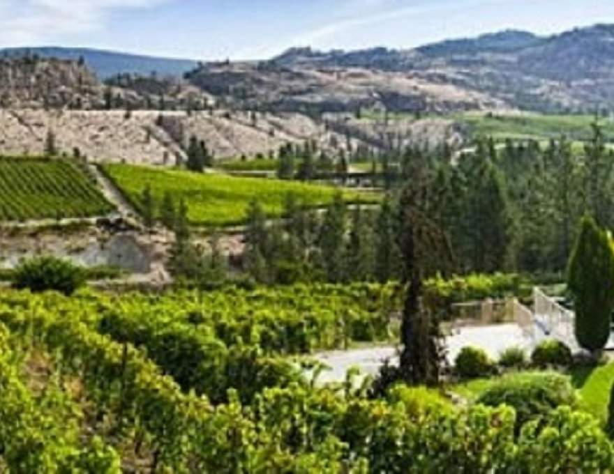 The Grange At Stag Hollow Ontario Canada Stag Hollow | WineMaps