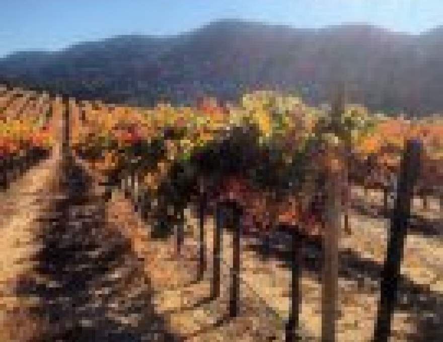 Jack Creek Cellars WineMaps