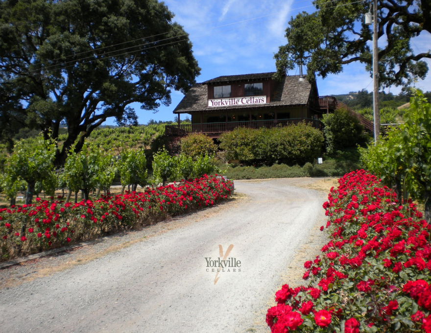 Yorkville Cellars WineMaps