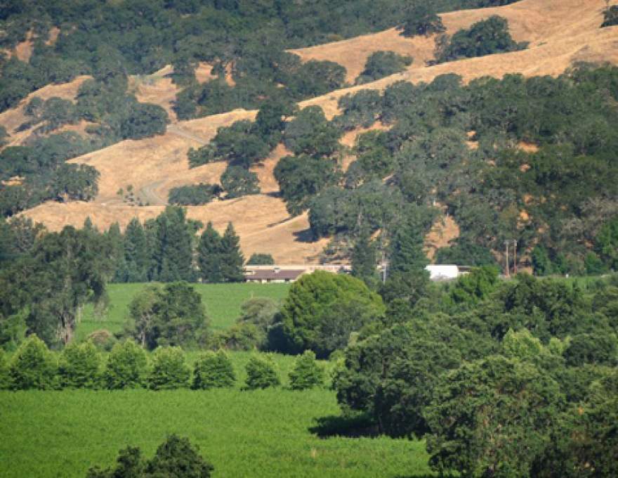 McNab Ridge Wine Company WineMaps