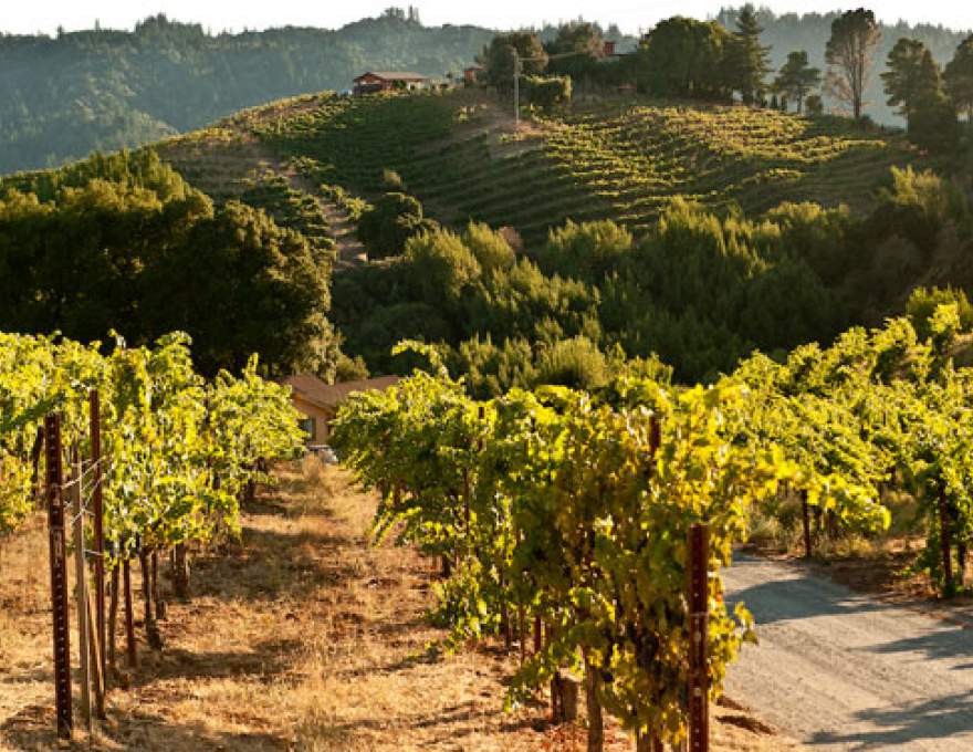 Ridge Vineyards Monte Bello