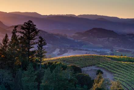 Ferrari-Carano Vineyards and Winery