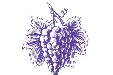 Cakebread Cellars 