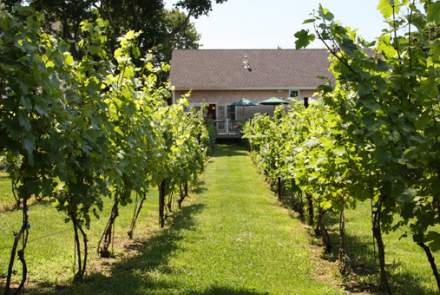 Langworthy Farm Winery
