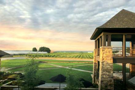 Trius Winery At Hillebrand