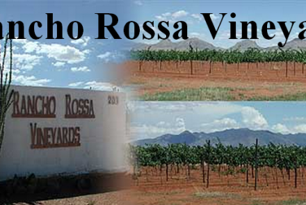 Rancho Rossa Vineyards