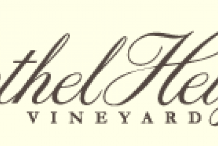 Bethel Heights Vineyard