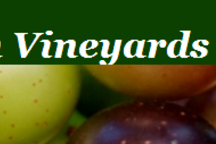 Benjamin Vineyards and Winery