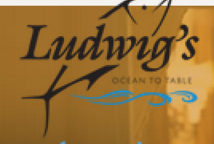 Ludwig's