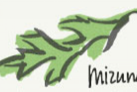 Mizuna