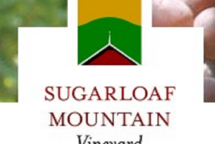 Sugarloaf Mtn. Vineyard