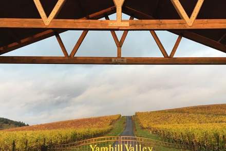 Yamhill Valley Vineyards 