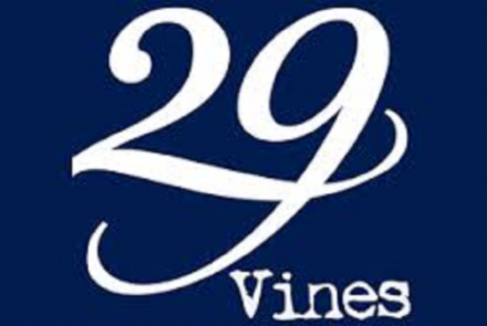 29 Vines And Above Ground Winery