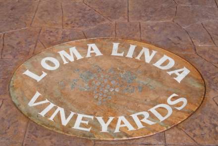 Loma Linda Vineyards