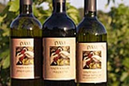 Pavi Wines