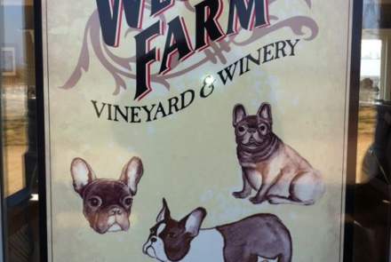Weston Winery and Vineyards