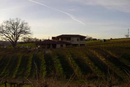 Bella Luna Estate Winery