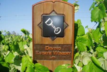 Divino Estate Winery