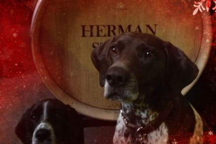 Herman Story Winery