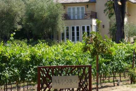 Allora Vineyards