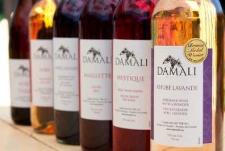 Damali Winery And Vinegary