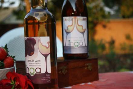 Linga Fruit Winery