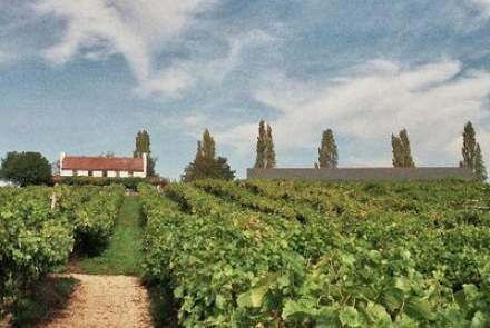 Three Choirs Vineyards