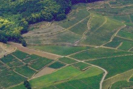 Domaines Schlumberger