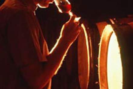 Balic Winery