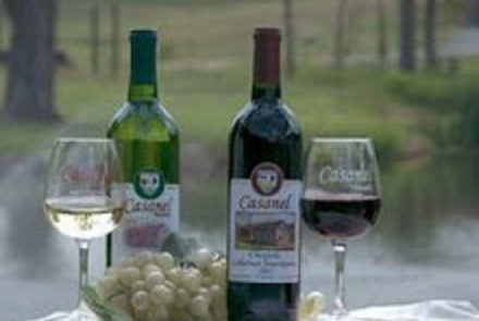 Casanel Vineyards