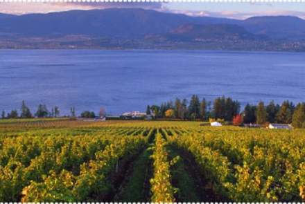 Cedar Creek Winery