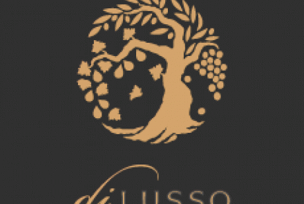 dilusso_logo.gif