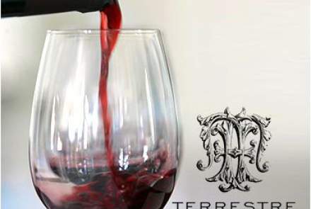 Torciano Winery