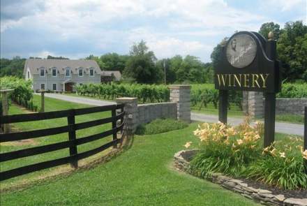 Gray Ghost Vineyards