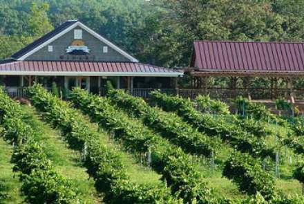 Woodmill Winery