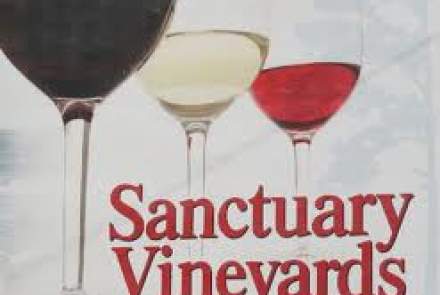 Sanctuary Vineyards
