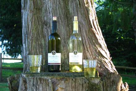 Three Brothers Vineyard and Winery